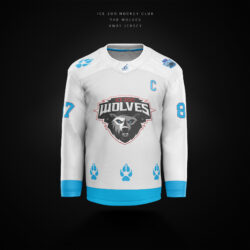 Wolves Away Jersey 2024