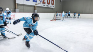 Ice Zoo Hockey Club